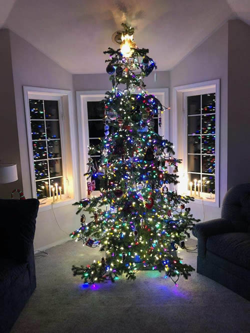 Christmas-Tree-2020